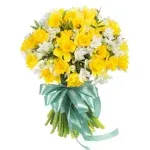 Нарцисс микс